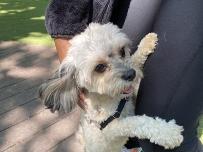 02F39B9F-B9D4-4B42-85C0-BE8B5757A662_1_105_c