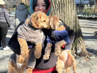 3454BDAB-C34C-44FE-8328-59D14C600F46_1_105_c