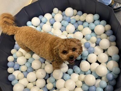 6ECE8120-F81C-4978-BB58-7D3368B6E5A7_1_105_c