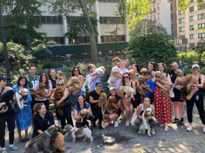 B5A371FA-D97B-46FF-858A-46ECCE9C986F_1_105_c