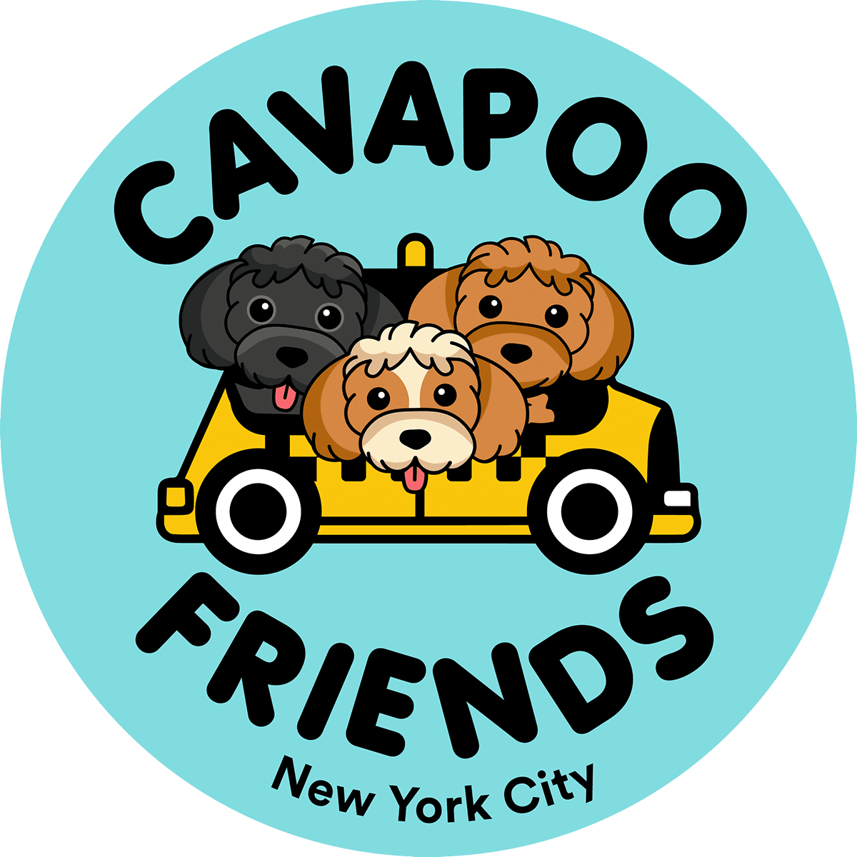 Cavapoo Friends NYC