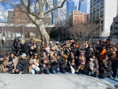 E1EEB7B7-6C51-4A1B-A3D5-47C434B7A38B_1_105_c