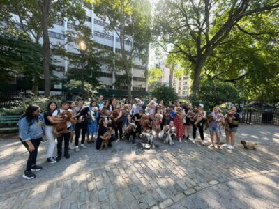 E8023F67-6518-4306-894A-8A5763306B43_4_5005_c