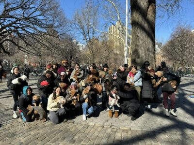 F89C5323-237A-43D6-BE0E-16F81509ACB0_1_105_c