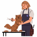 NewGroomer NewGroomer