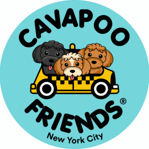 Sticker Logo_Blue_R Sticker Logo_Blue_R